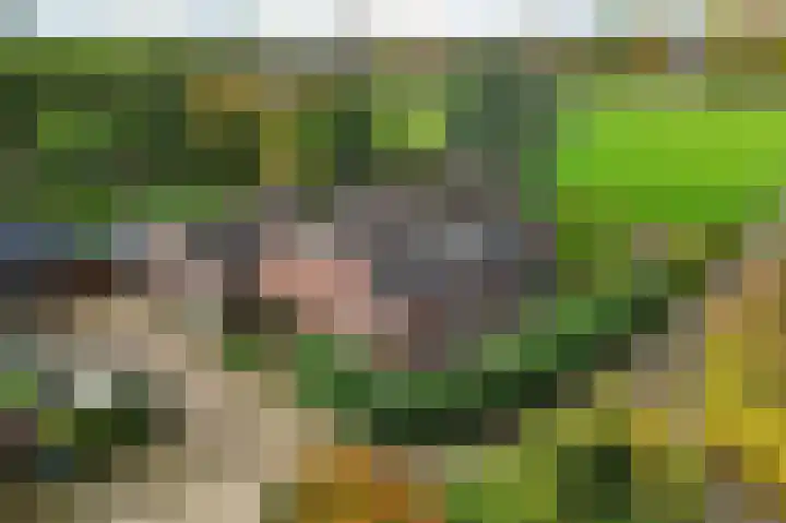 Badweg 4 Ulft thumbnail 7