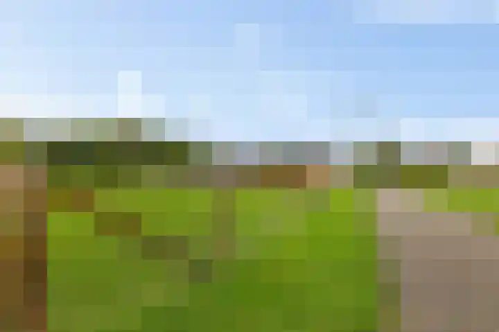 Badweg 4 Ulft thumbnail 8