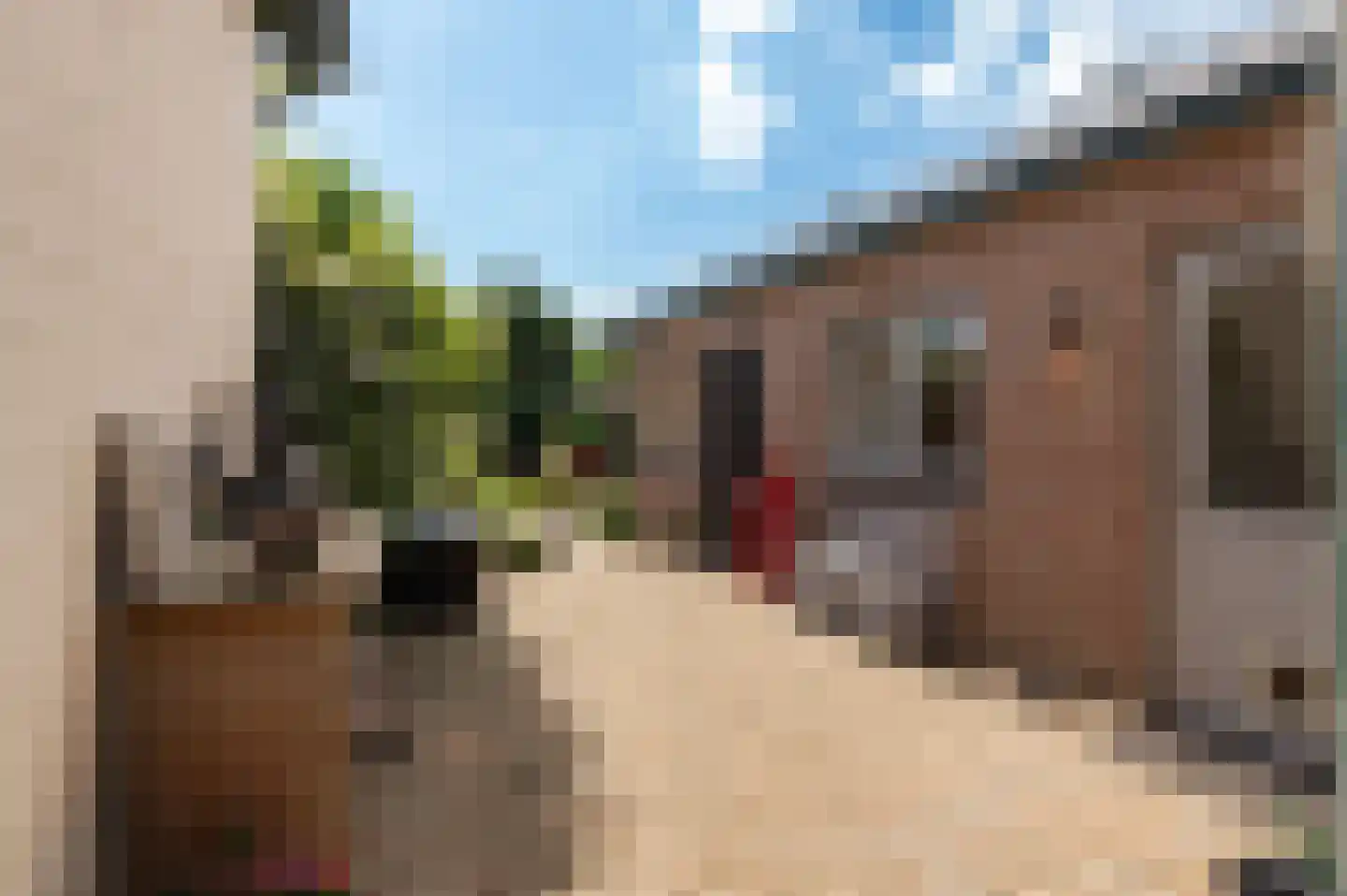 Badweg 41 Geldermalsen thumbnail 28