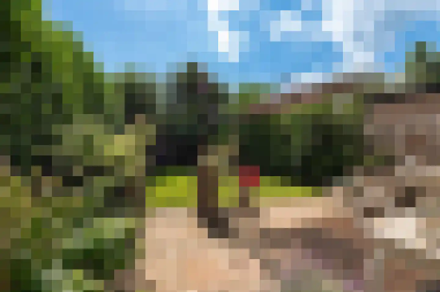 Badweg 41 Geldermalsen thumbnail 29