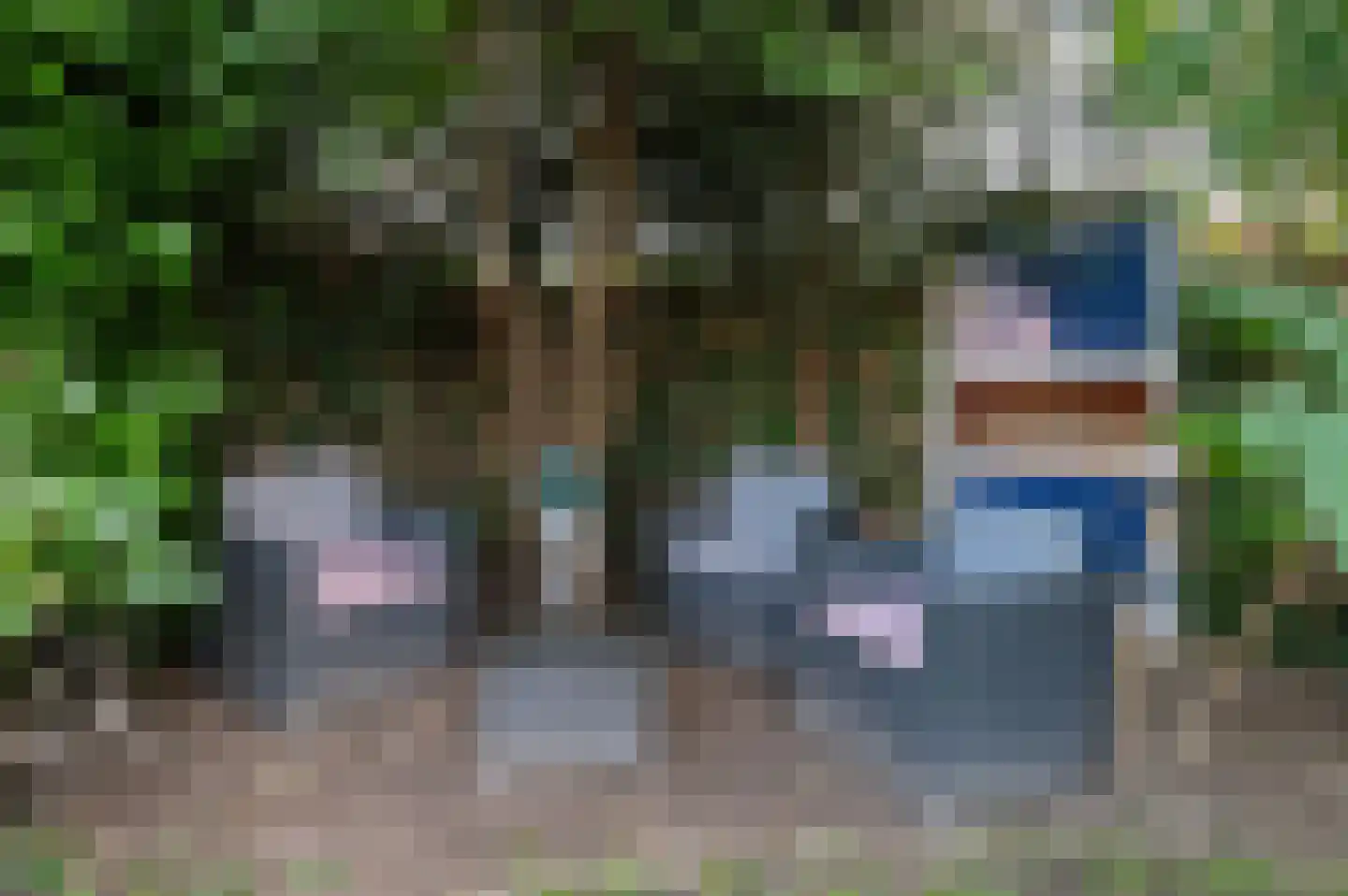 Badweg 41 Geldermalsen thumbnail 30