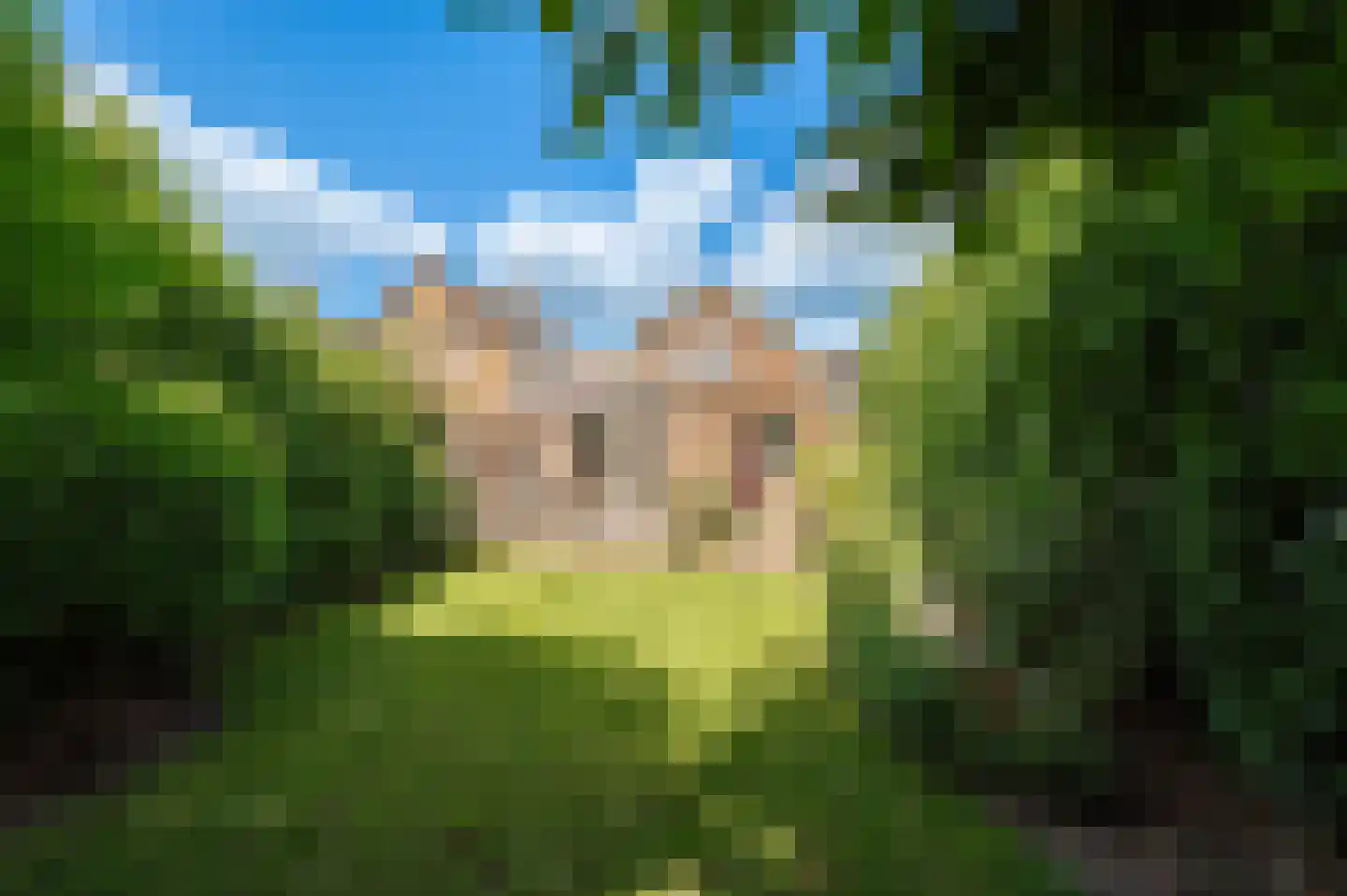 Badweg 41 Geldermalsen thumbnail 31