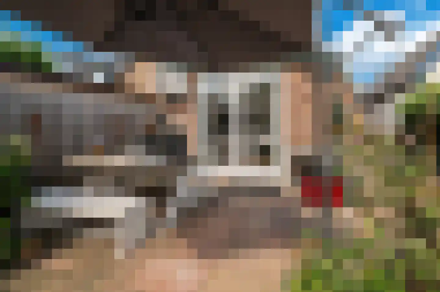 Badweg 41 Geldermalsen thumbnail 33