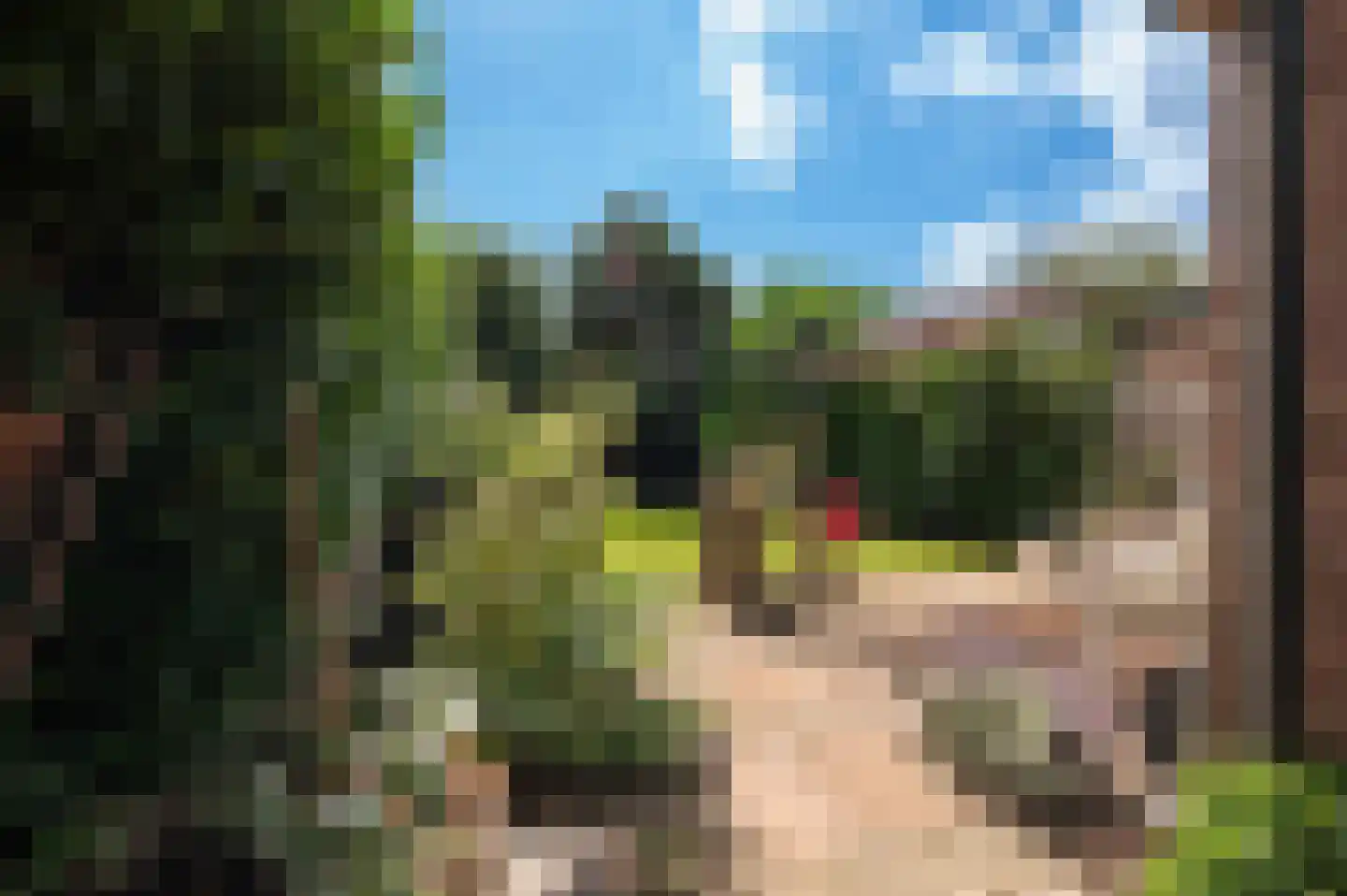 Badweg 41 Geldermalsen thumbnail 34