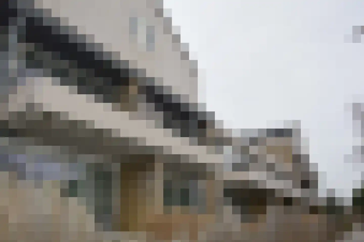 Badweg 53 R108 Schiermonnikoog thumbnail 10