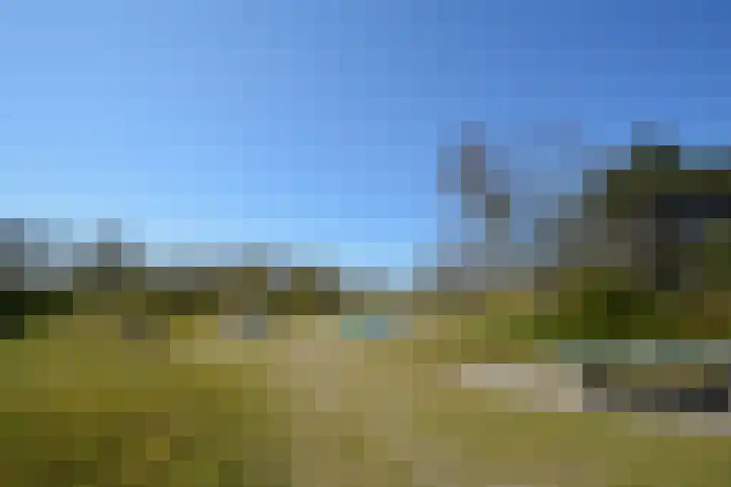 Badweg 53 R16 Schiermonnikoog thumbnail 28