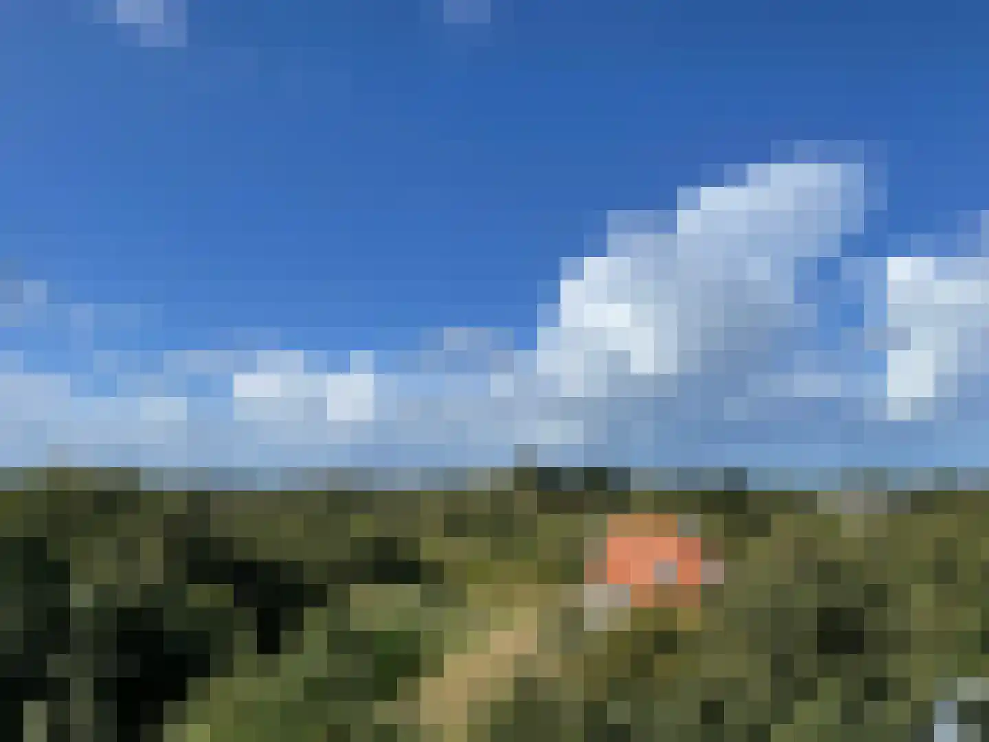 Badweg 53 R207 Schiermonnikoog thumbnail 20