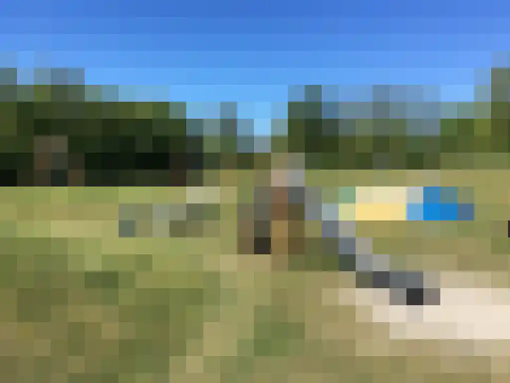 Badweg 53 R207 Schiermonnikoog thumbnail 29