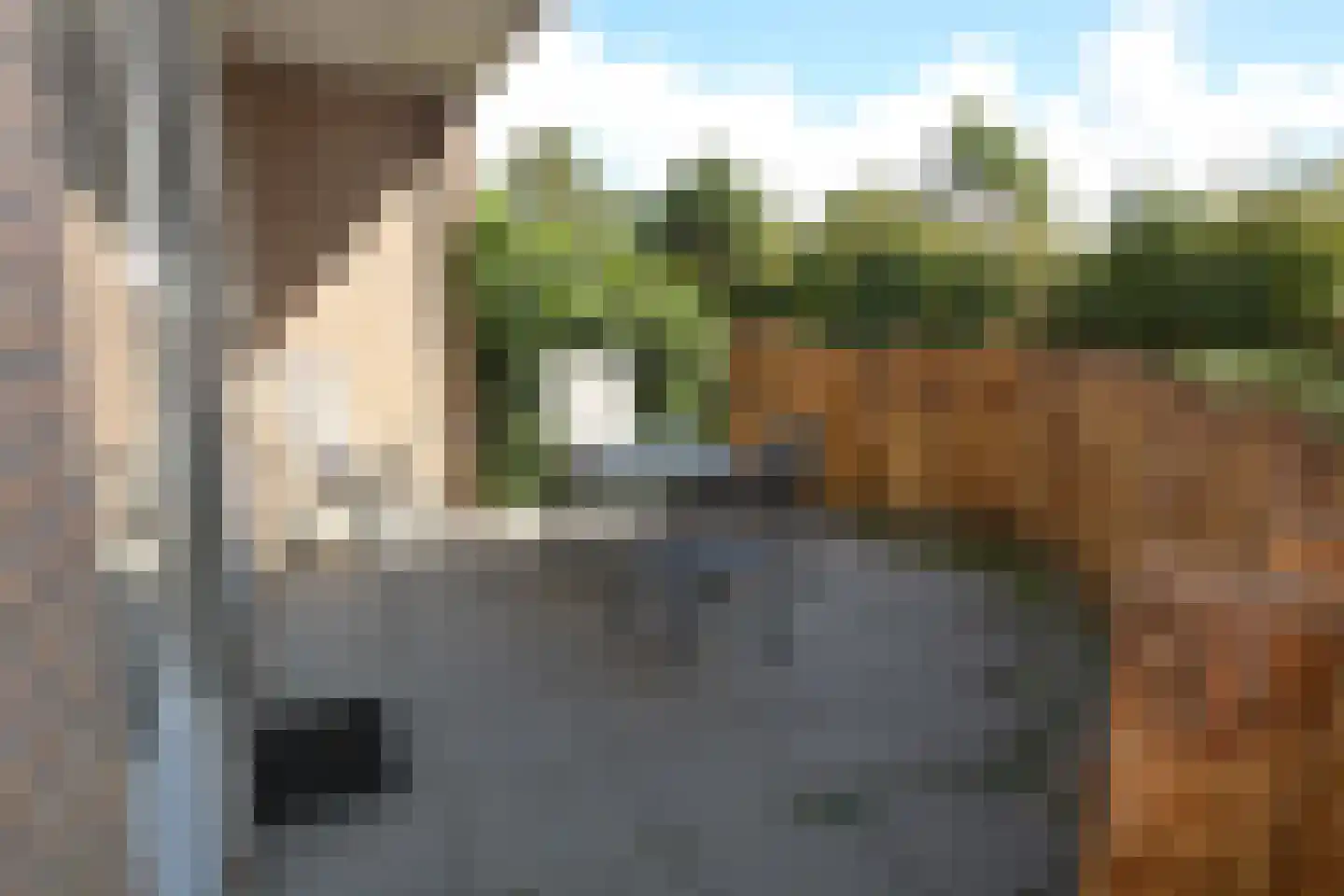 Badweg 53 R51 Schiermonnikoog thumbnail 9