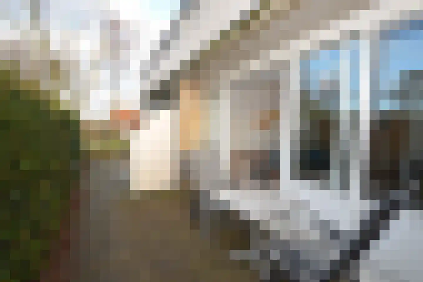 Badweg 53 R64 Schiermonnikoog thumbnail 16