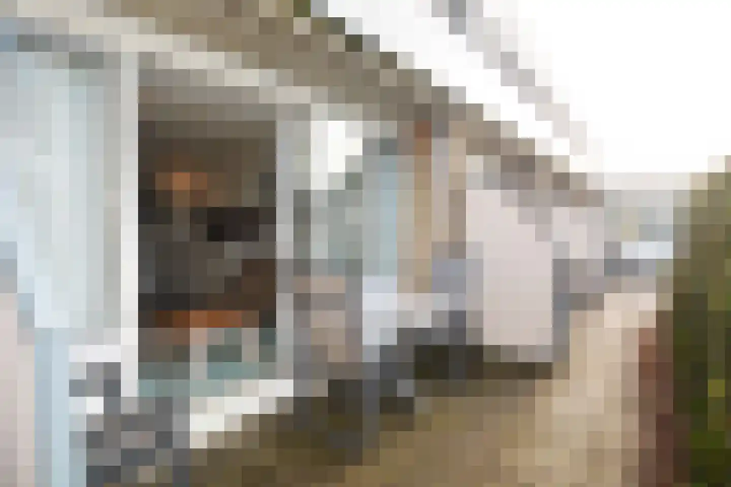 Badweg 53 R64 Schiermonnikoog thumbnail 18