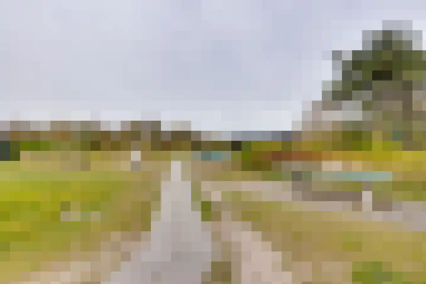 Badweg 53 R67 Schiermonnikoog thumbnail 24