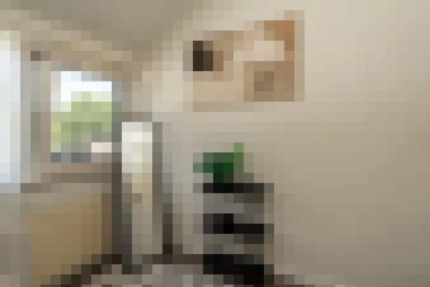 Badweg 6 Meeden thumbnail 30