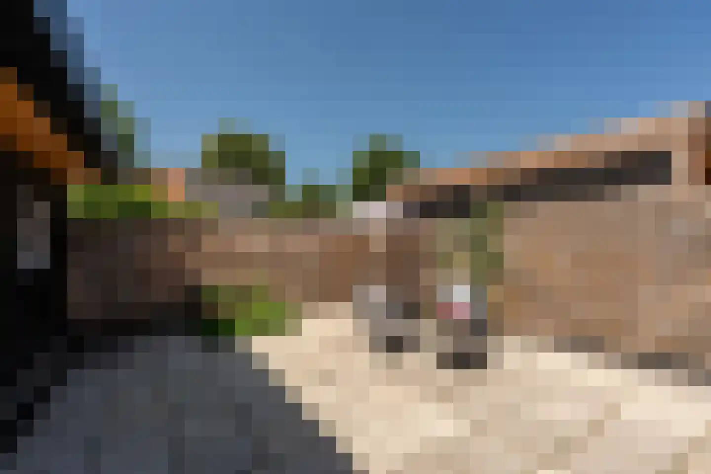 Badweg 6 Meeden thumbnail 38