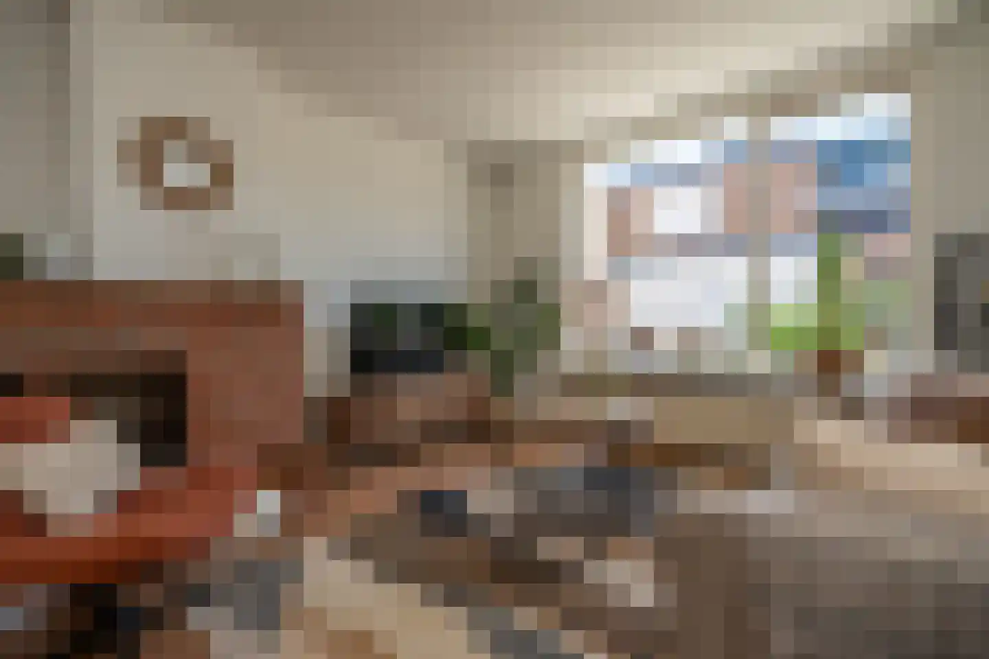 Badweg 6 Meeden thumbnail 7
