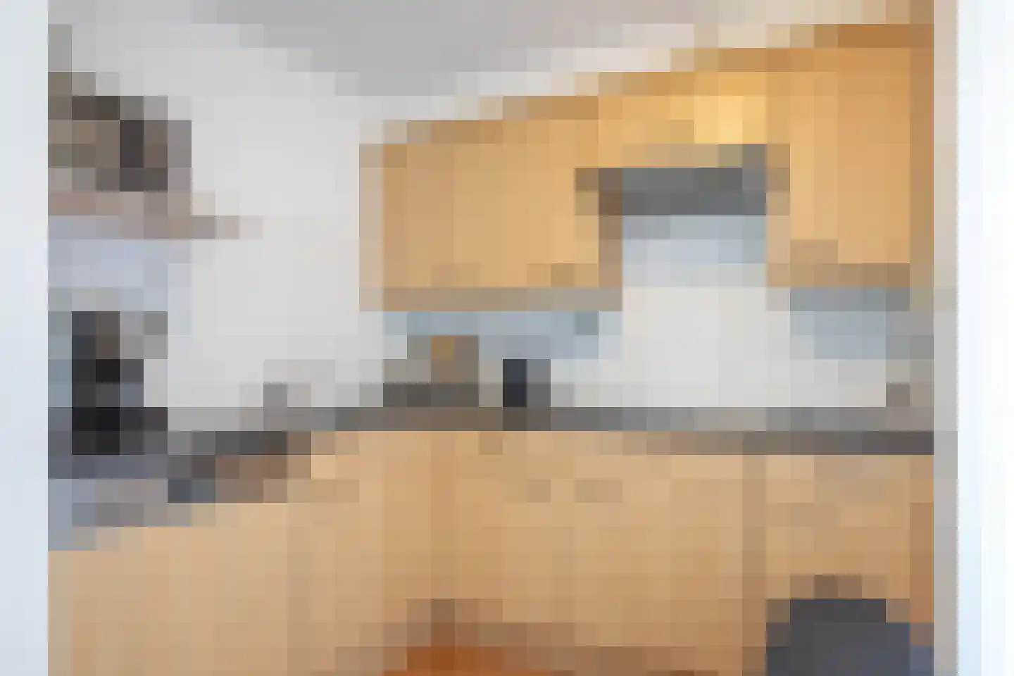 Badweg 62 De Koog thumbnail 12