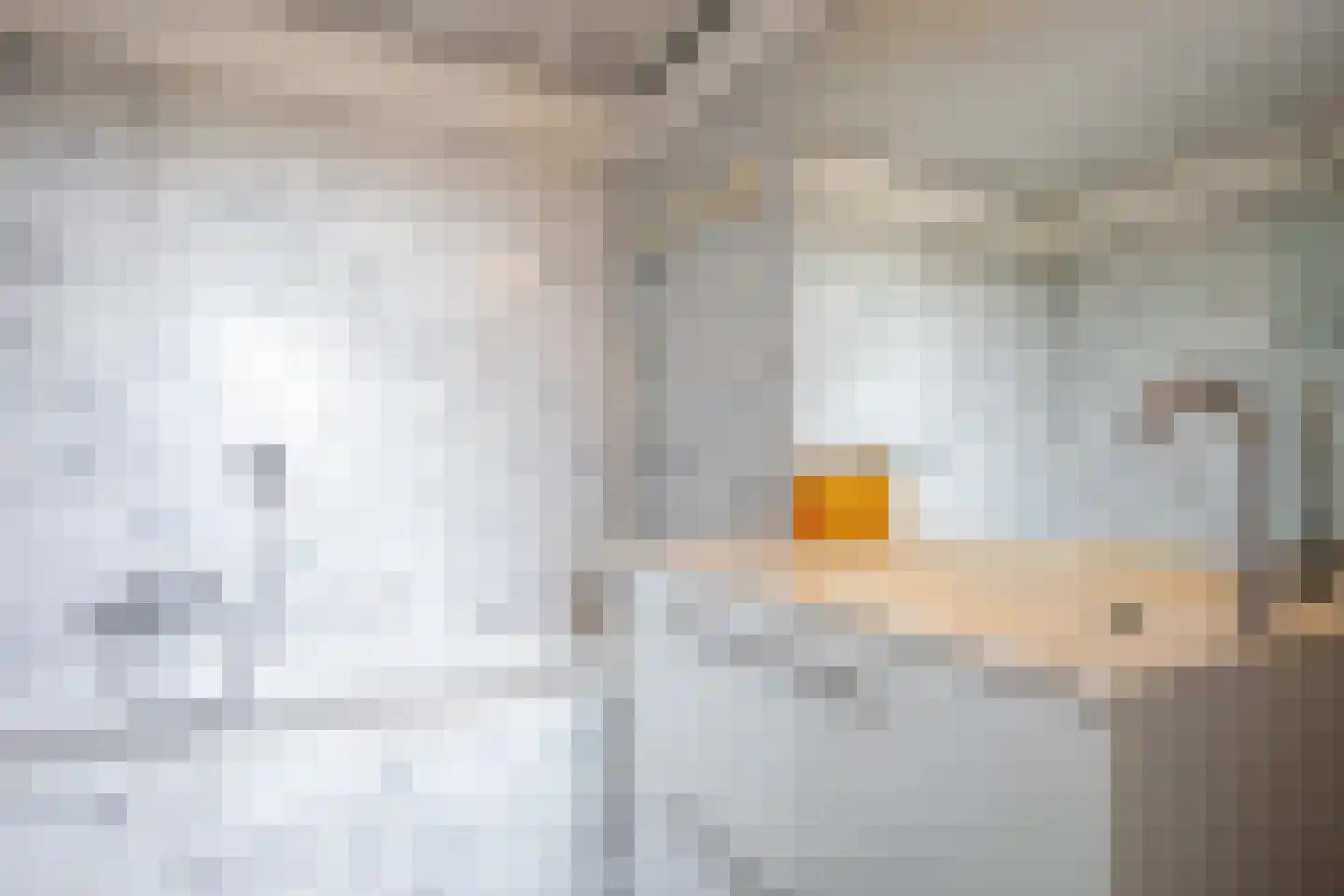 Badweg 62 De Koog thumbnail 16