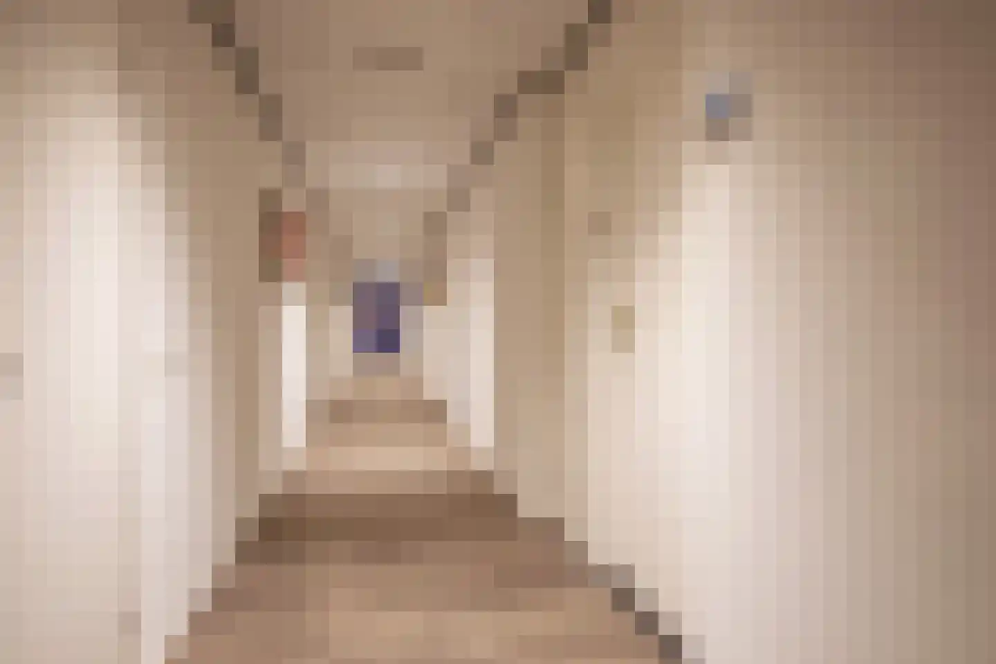 Badweg 62 De Koog thumbnail 20
