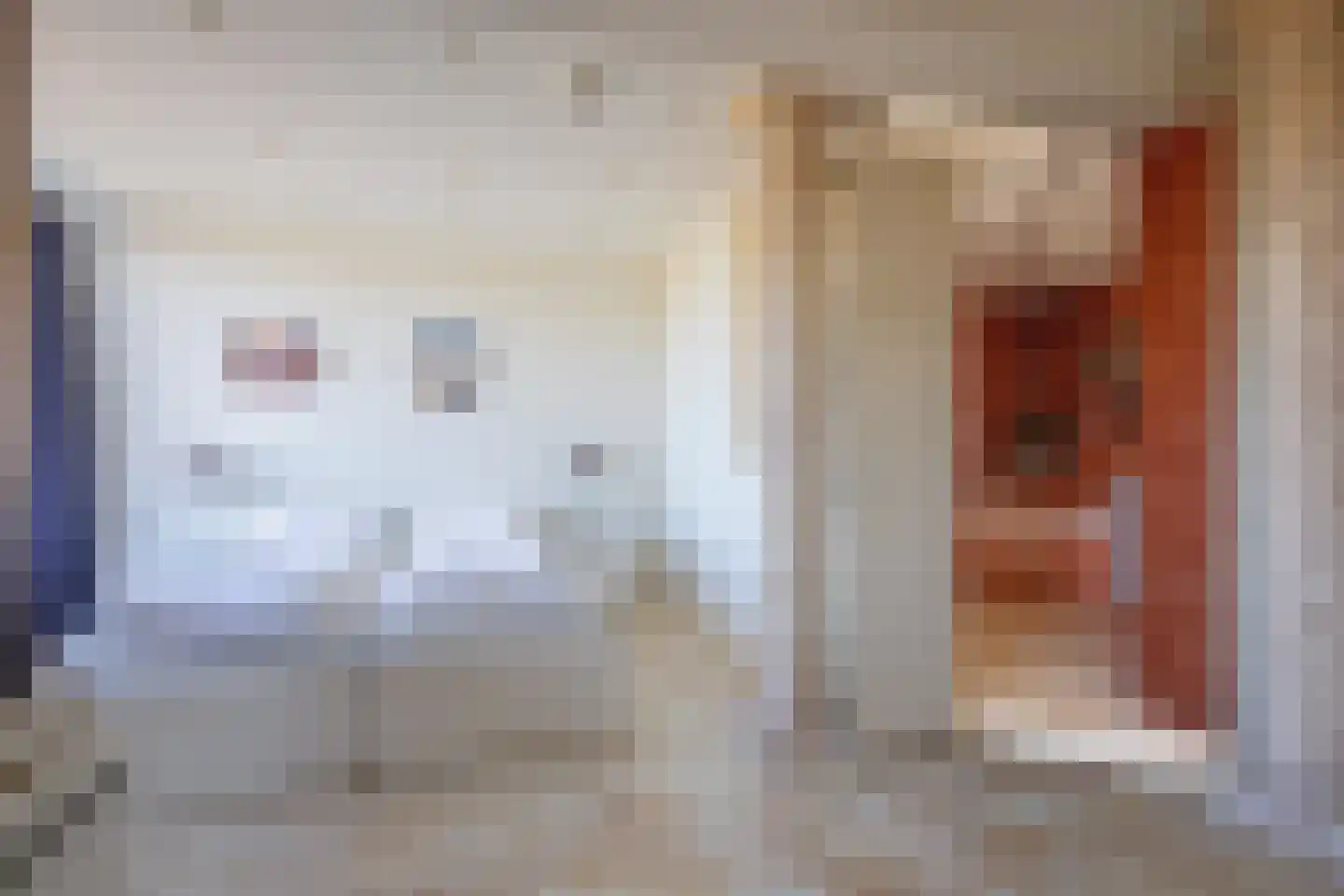 Badweg 64 De Koog thumbnail 10