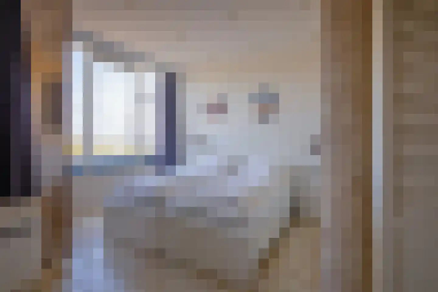 Badweg 64 De Koog thumbnail 11