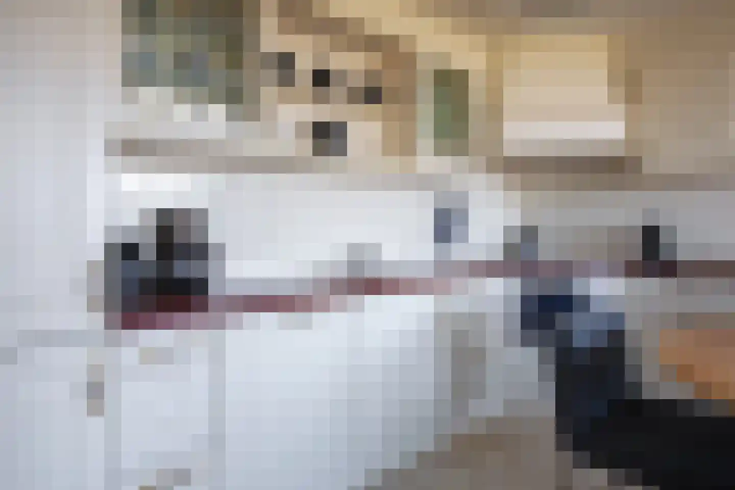 Badweg 64 De Koog thumbnail 8