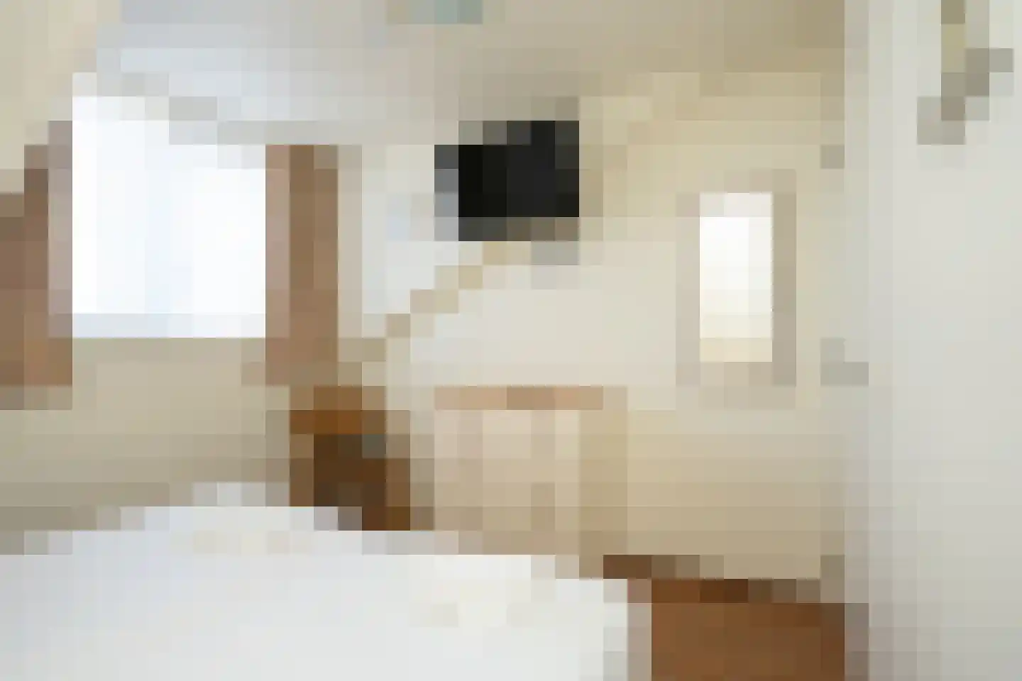 Badweg 65 De Koog thumbnail 41