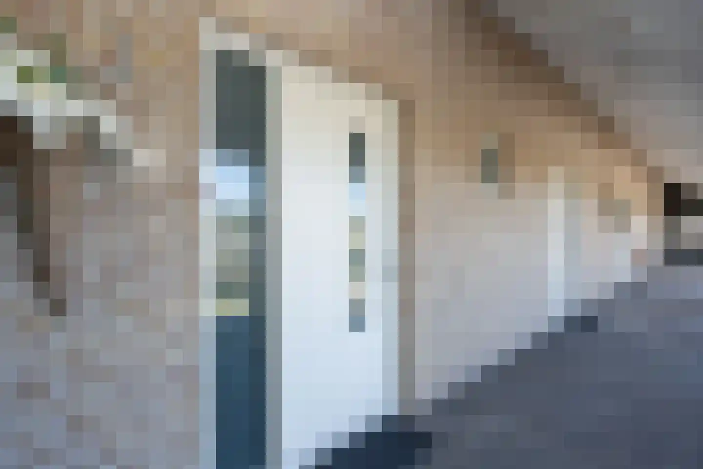 Badweg 65 De Koog thumbnail 5