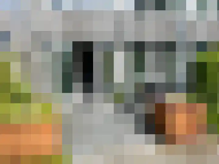 Badweg 67 A R8 Schiermonnikoog thumbnail 13
