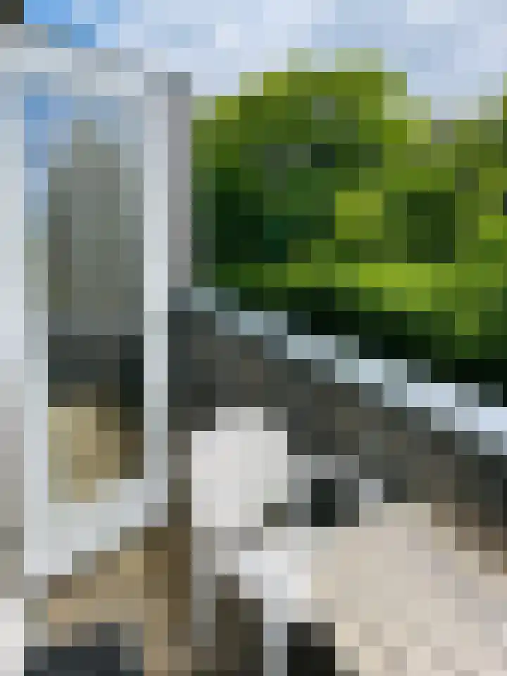 Badweg 67 R125 Schiermonnikoog thumbnail 12