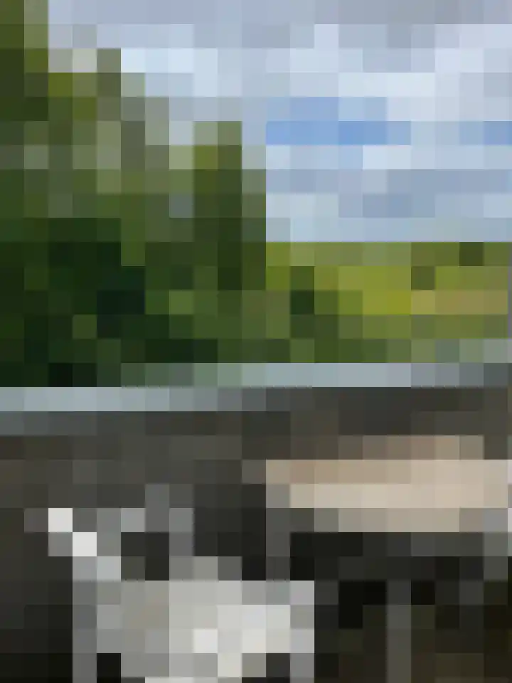 Badweg 67 R125 Schiermonnikoog thumbnail 13