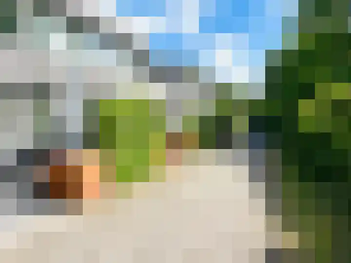 Badweg 67 R125 Schiermonnikoog thumbnail 17