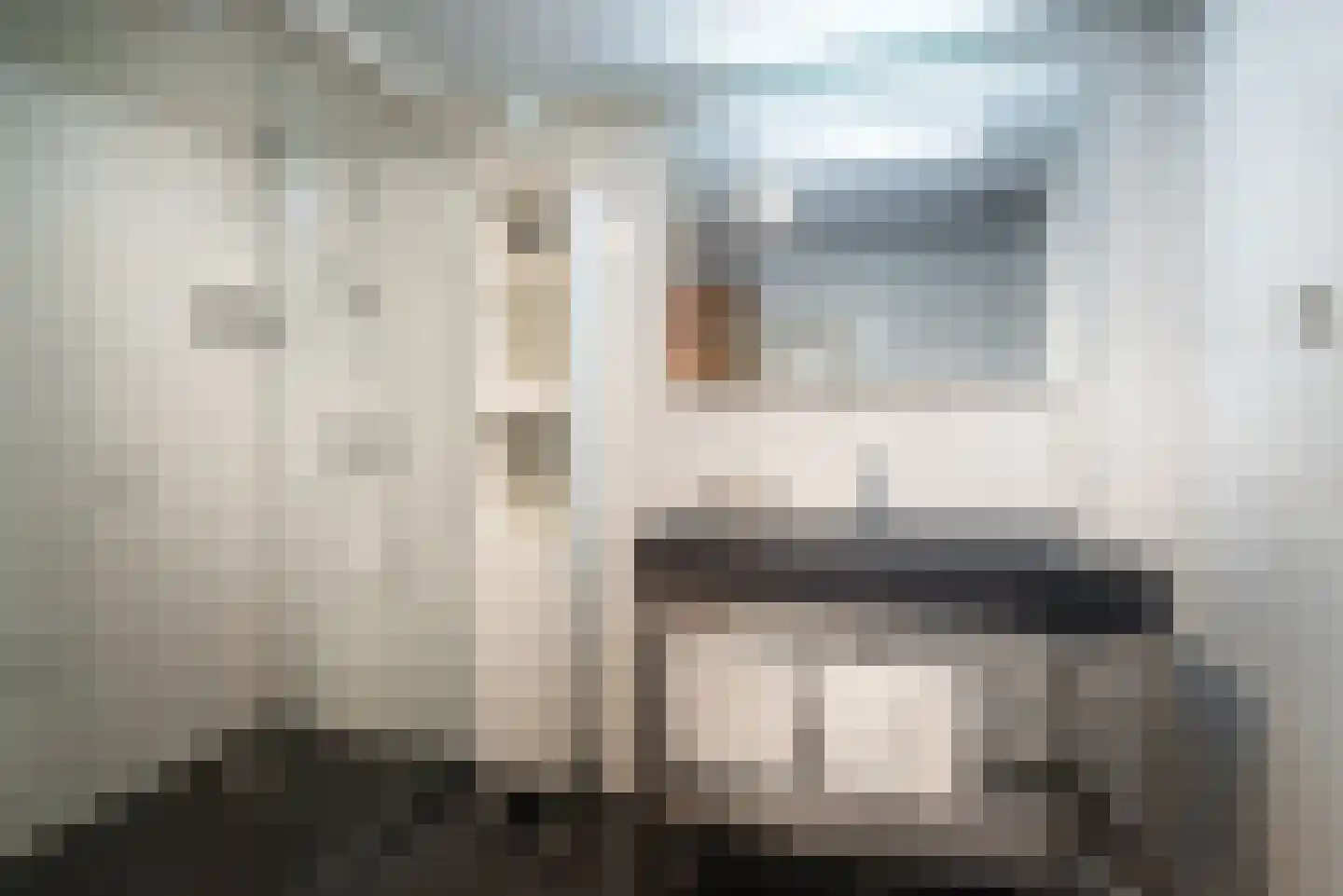 Badweg 67 R129 Schiermonnikoog thumbnail 10