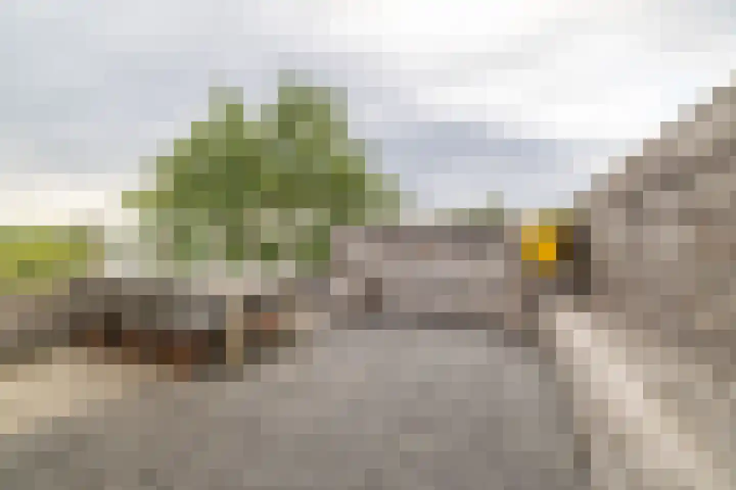 Badweg 67 R132 Schiermonnikoog thumbnail 27