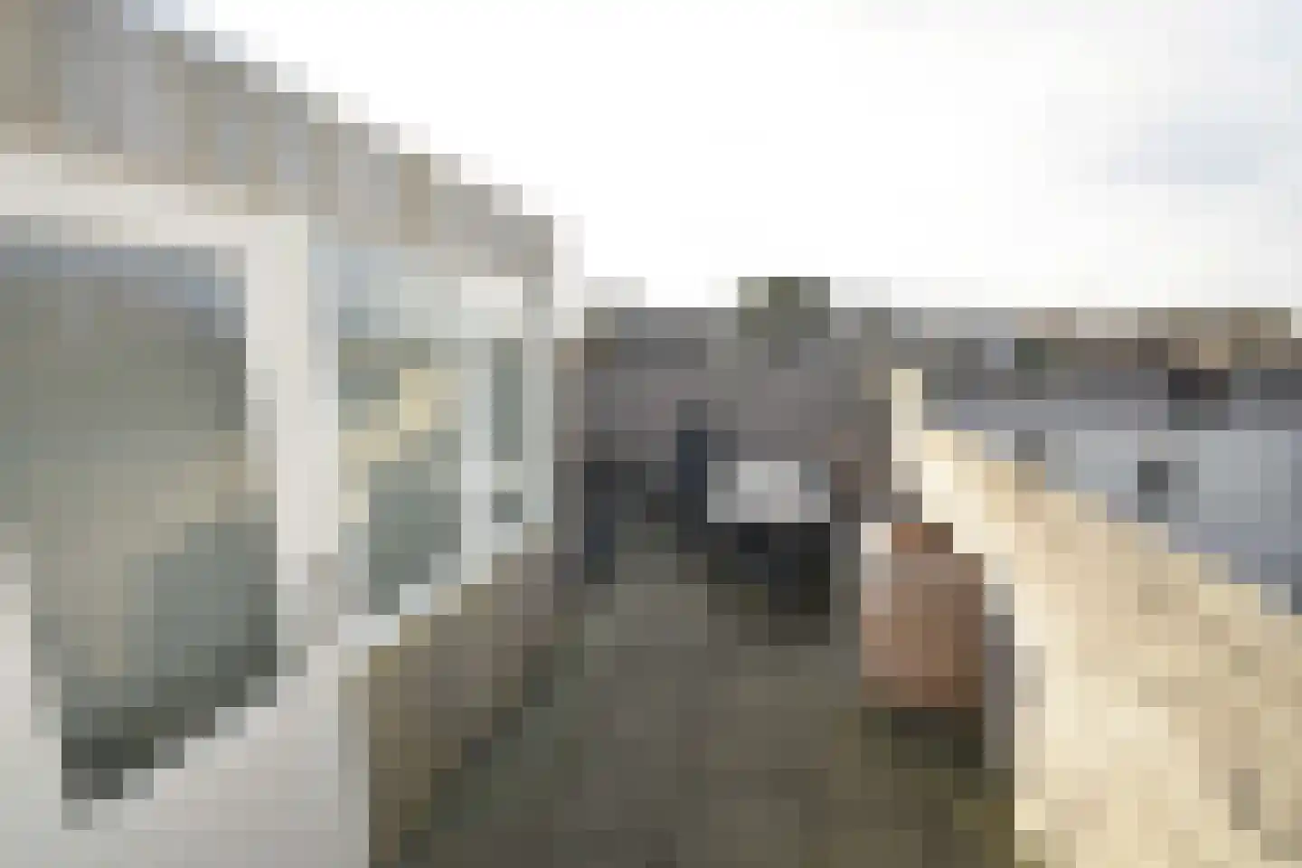 Badweg 67 R136 Schiermonnikoog thumbnail 17