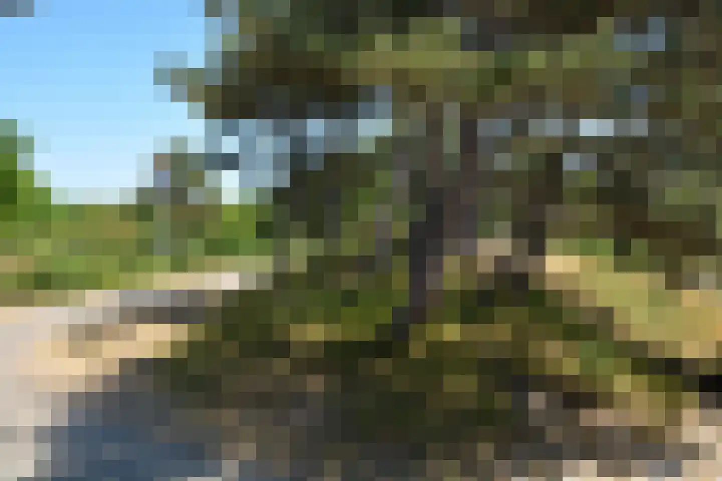 Badweg 67 R136 Schiermonnikoog thumbnail 21
