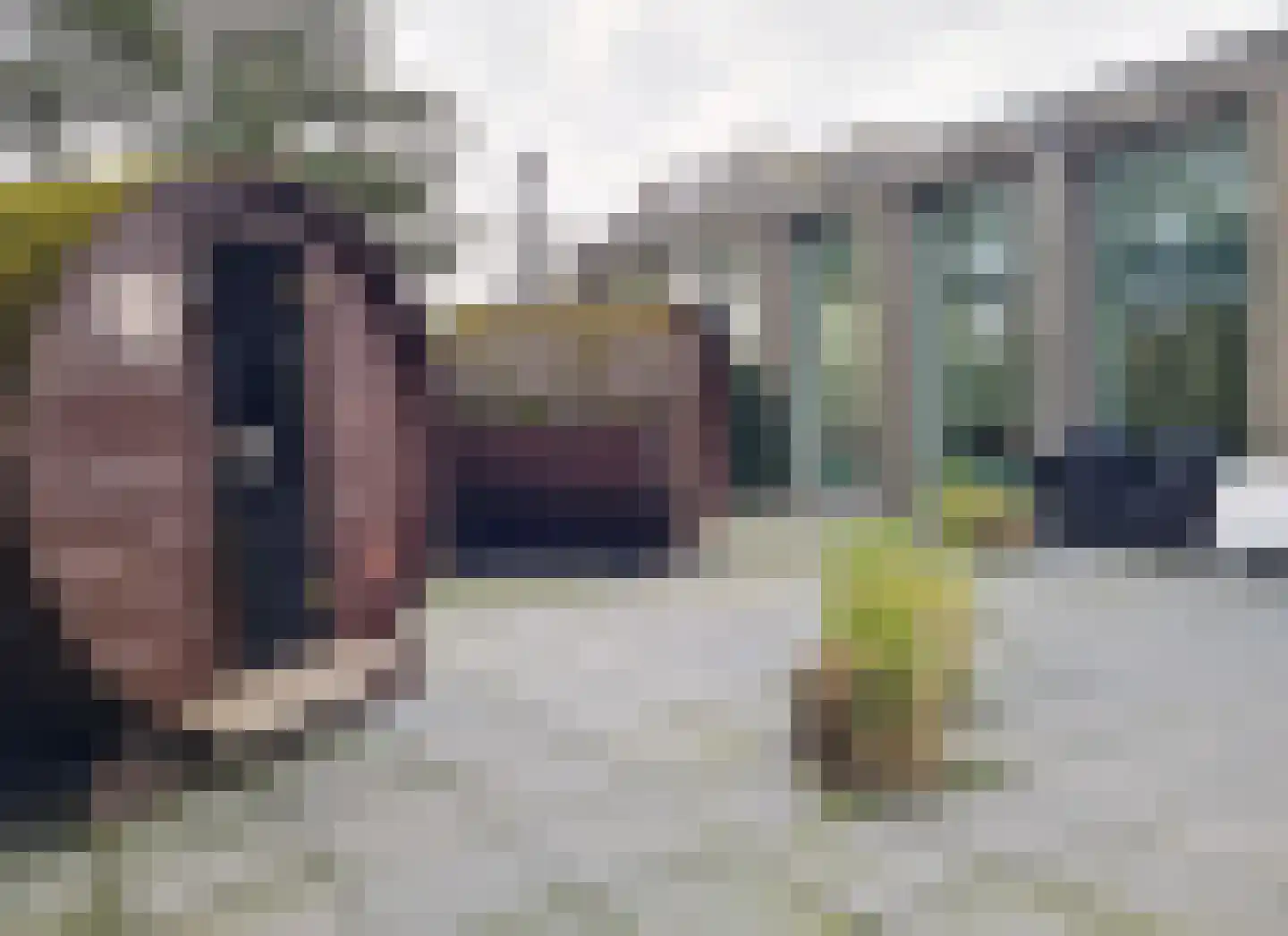 Badweg 67 R136 Schiermonnikoog thumbnail 26
