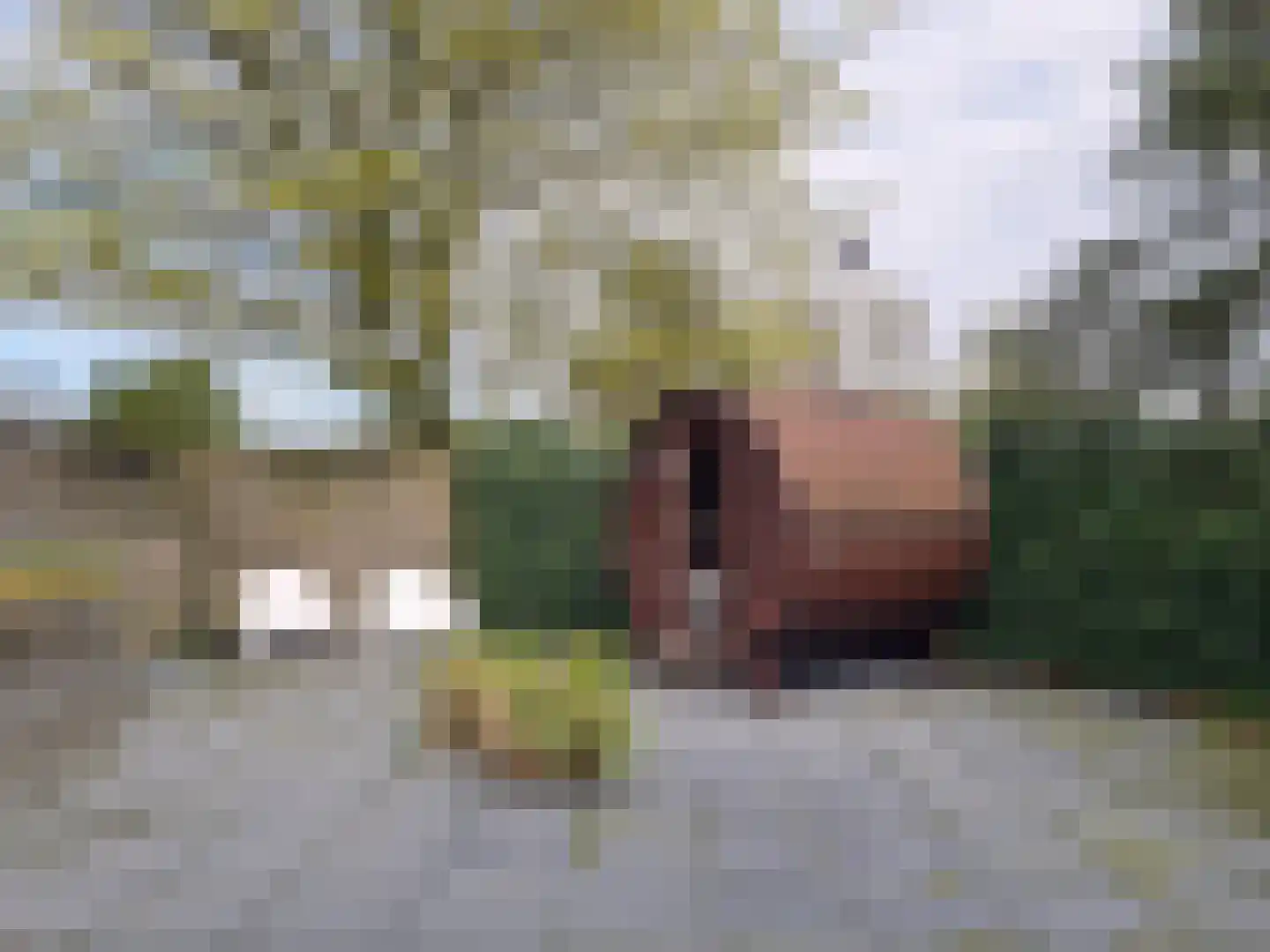 Badweg 67 R136 Schiermonnikoog thumbnail 29