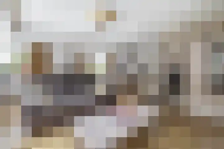 Badweg 68 Meeden thumbnail 12