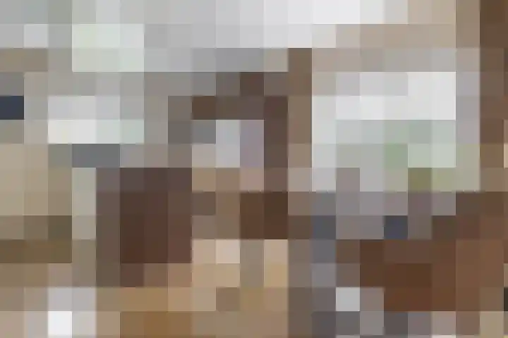 Badweg 68 Meeden thumbnail 15