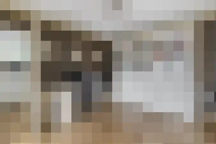 Badweg 68 Meeden thumbnail 25
