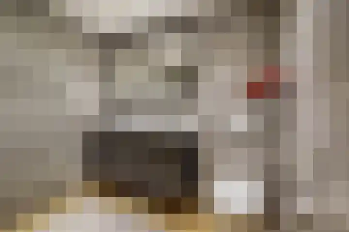 Badweg 68 Meeden thumbnail 31