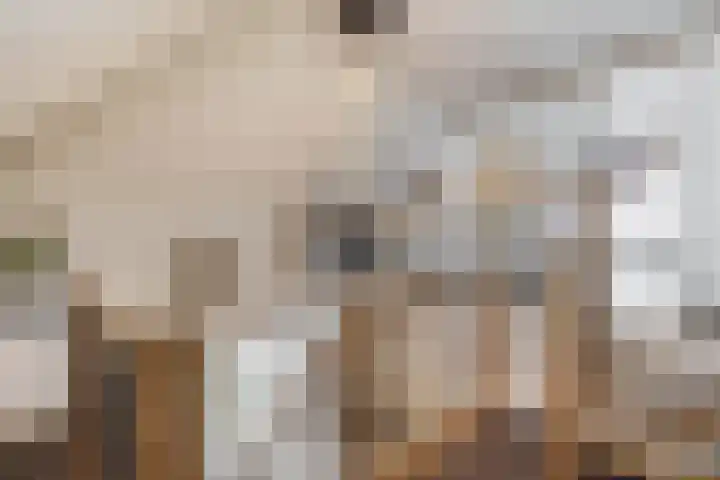 Badweg 68 Meeden thumbnail 34