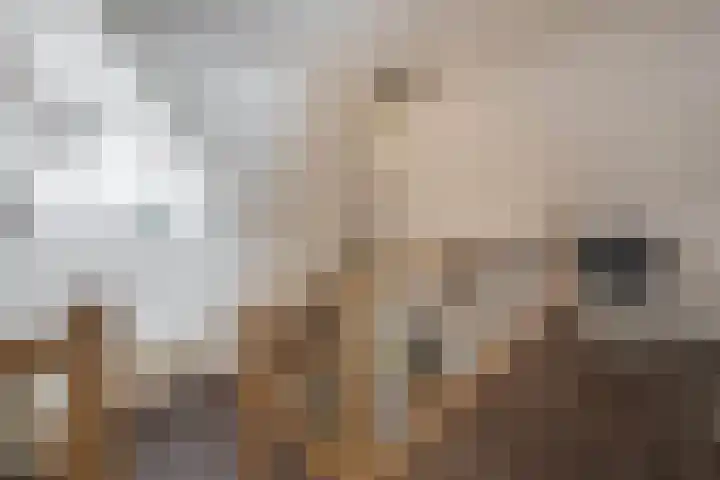 Badweg 68 Meeden thumbnail 41