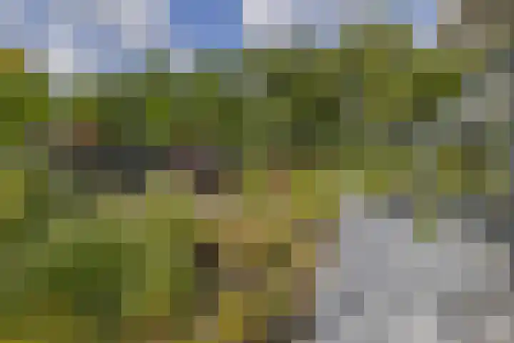 Badweg 68 Meeden thumbnail 46