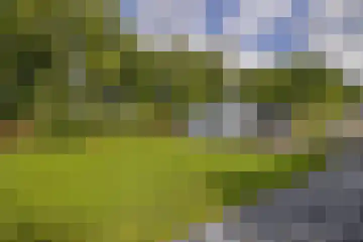 Badweg 68 Meeden thumbnail 48