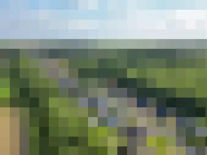 Badweg 68 Meeden thumbnail 51