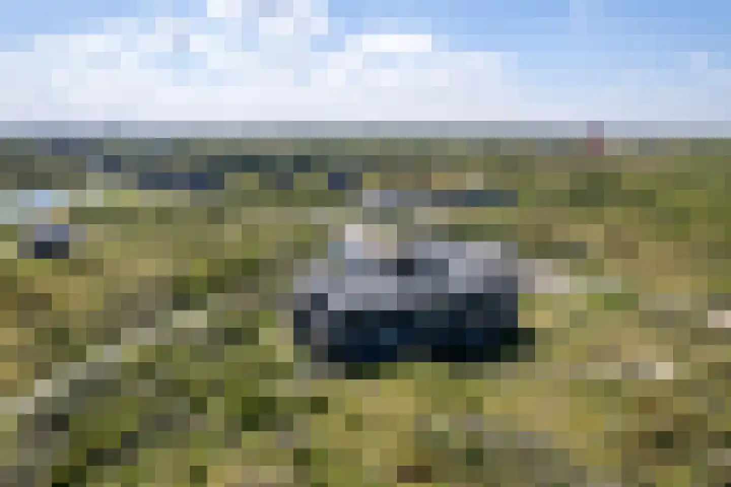 Badweg 68 Schiermonnikoog thumbnail 29