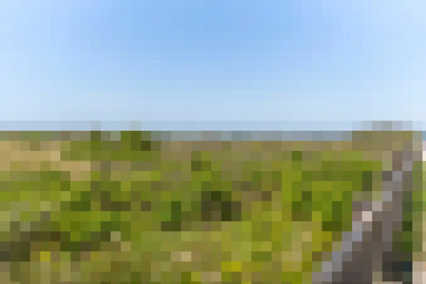 Badweg 68 Schiermonnikoog thumbnail 31