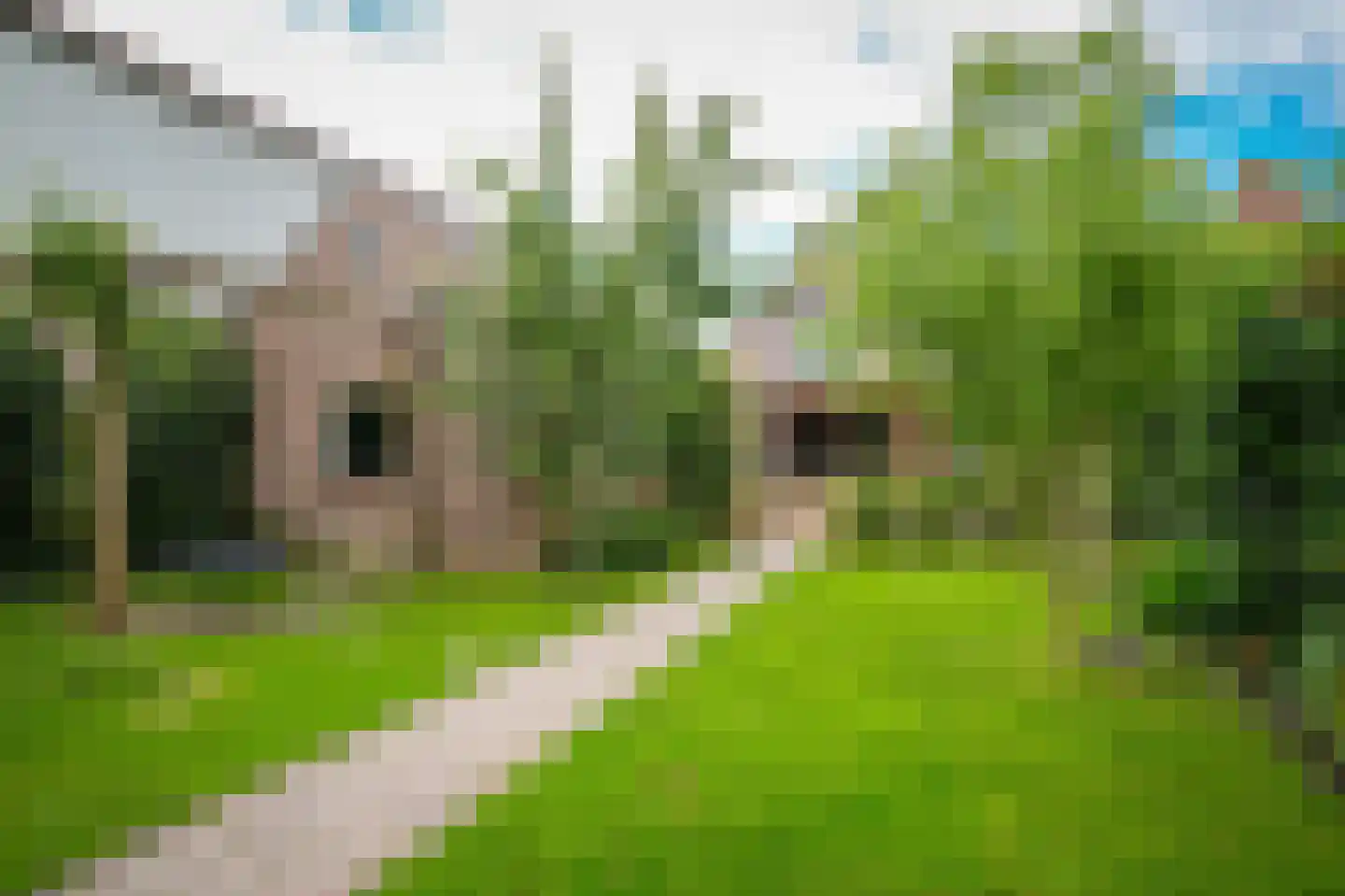 Badweg 7 Geldermalsen thumbnail 34