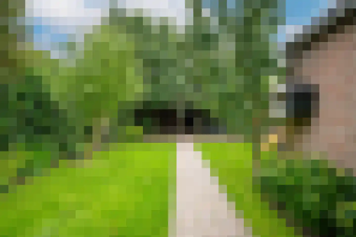 Badweg 7 Geldermalsen thumbnail 35